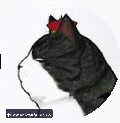 刘阳